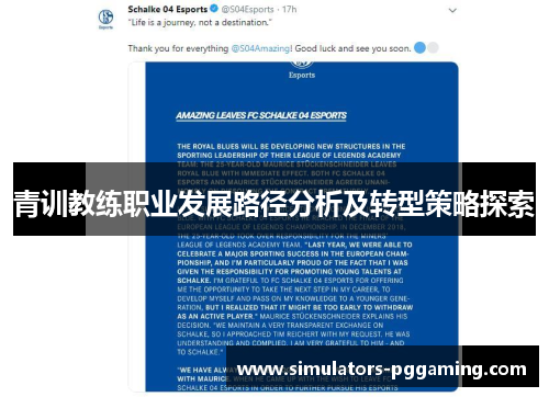 青训教练职业发展路径分析及转型策略探索