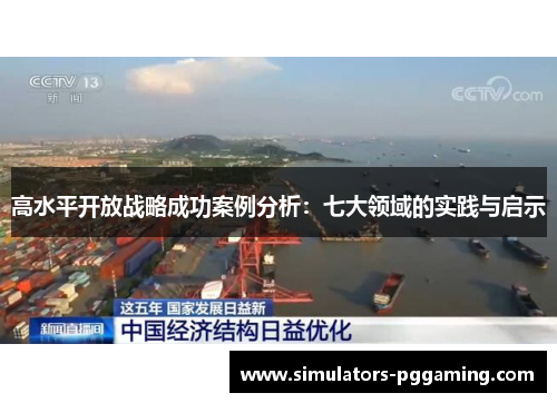 高水平开放战略成功案例分析：七大领域的实践与启示