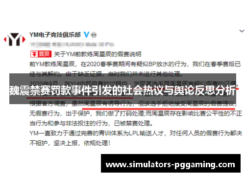 魏震禁赛罚款事件引发的社会热议与舆论反思分析