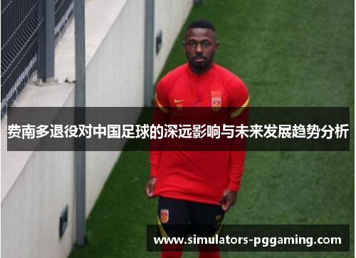 费南多退役对中国足球的深远影响与未来发展趋势分析 费南多退役对中国足球的深远影响与未来发展趋势分析