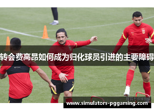 转会费高昂如何成为归化球员引进的主要障碍