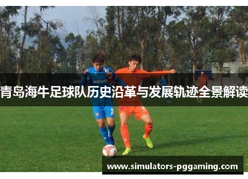 青岛海牛足球队历史沿革与发展轨迹全景解读 青岛海牛足球队历史沿革与发展轨迹全景解读