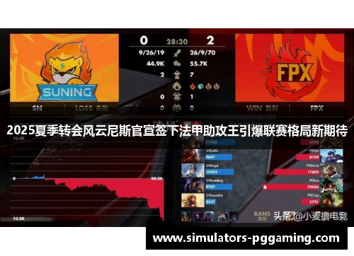 2025夏季转会风云尼斯官宣签下法甲助攻王引爆联赛格局新期待