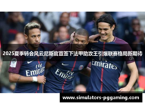 2025夏季转会风云尼斯官宣签下法甲助攻王引爆联赛格局新期待