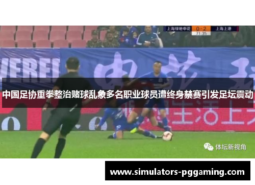 中国足协重拳整治赌球乱象多名职业球员遭终身禁赛引发足坛震动