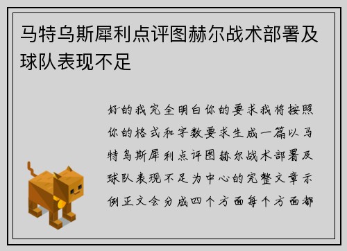 马特乌斯犀利点评图赫尔战术部署及球队表现不足