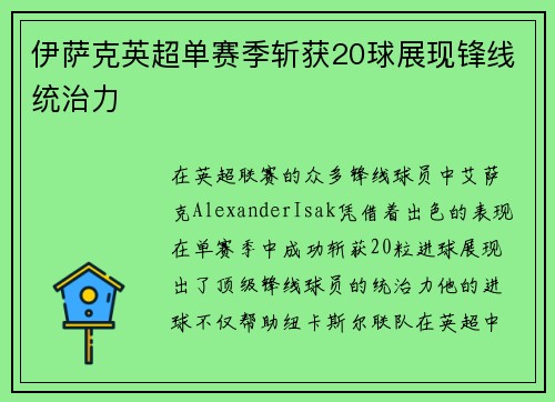 伊萨克英超单赛季斩获20球展现锋线统治力 伊萨克英超单赛季斩获20球展现锋线统治力